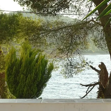 Vila Oasis בורש