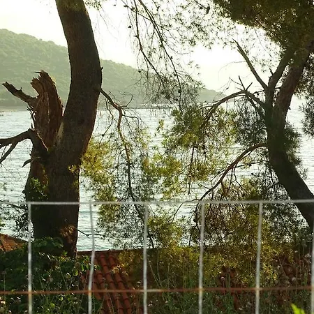 Vila Oasis *